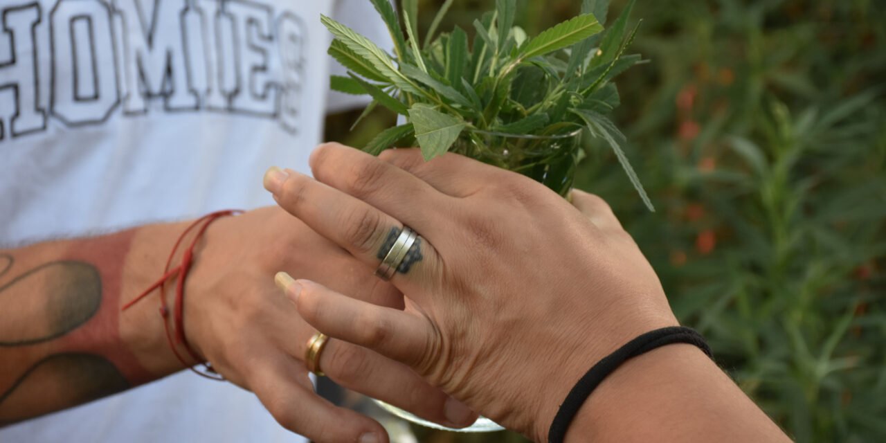 Carta de la Editora: La Flor que Nace en las calles de Barro