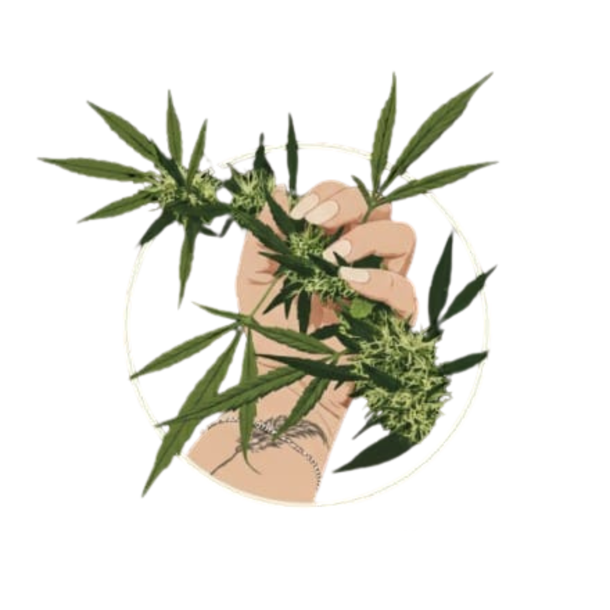 Revista Las Flores de Elvira