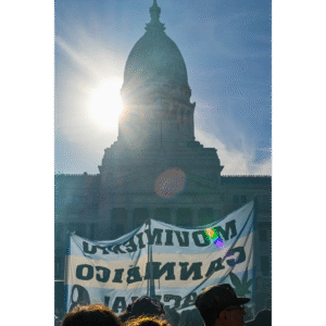 sembrando luchas sociales