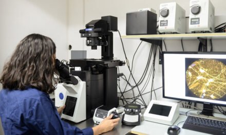 La data CLAVE de tu cuerpo: El SEC, explicado para la barriada