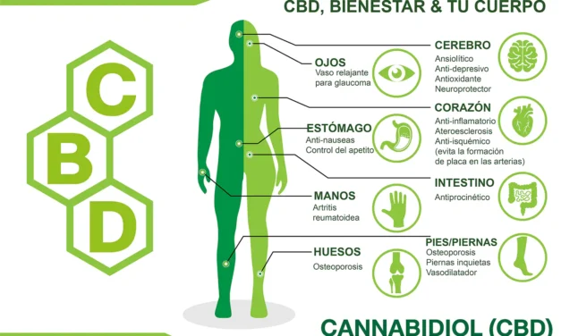 La data CLAVE de tu cuerpo: El SEC, explicado para la barriada