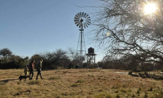 Entrevista a Chacra Raiz. Mi nombre es Anahí
