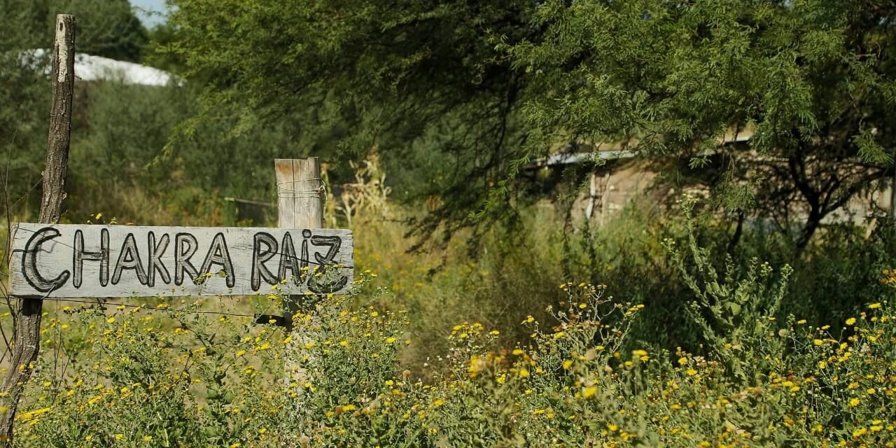 Entrevista a Chacra Raiz. Mi nombre es Anahí