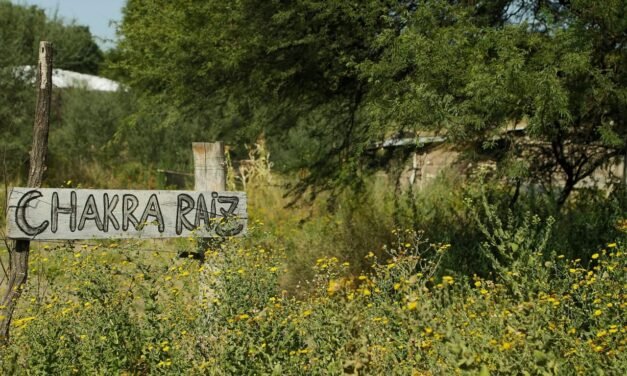 Entrevista a Chacra Raiz. Mi nombre es Anahí