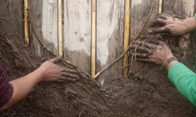 Entrevista a Chacra Raiz. Mi nombre es Anahí